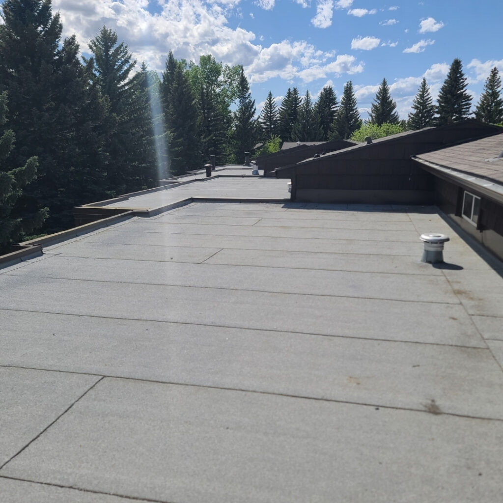flat roof update